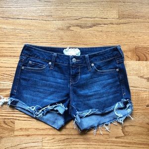 Alterd state I ean shorts